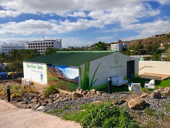 Finca Canarias Aloe Vera